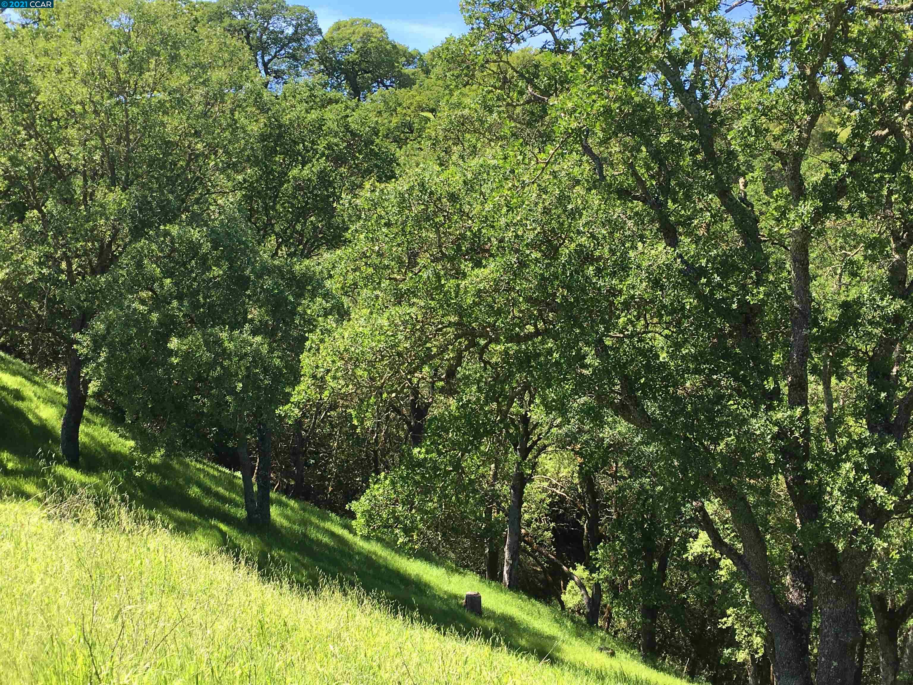 283 Castle Hill Ranch Rd, WALNUT CREEK, California 94595, ,Lots And Land,For Sale,Castle Hill Ranch Rd,40972363