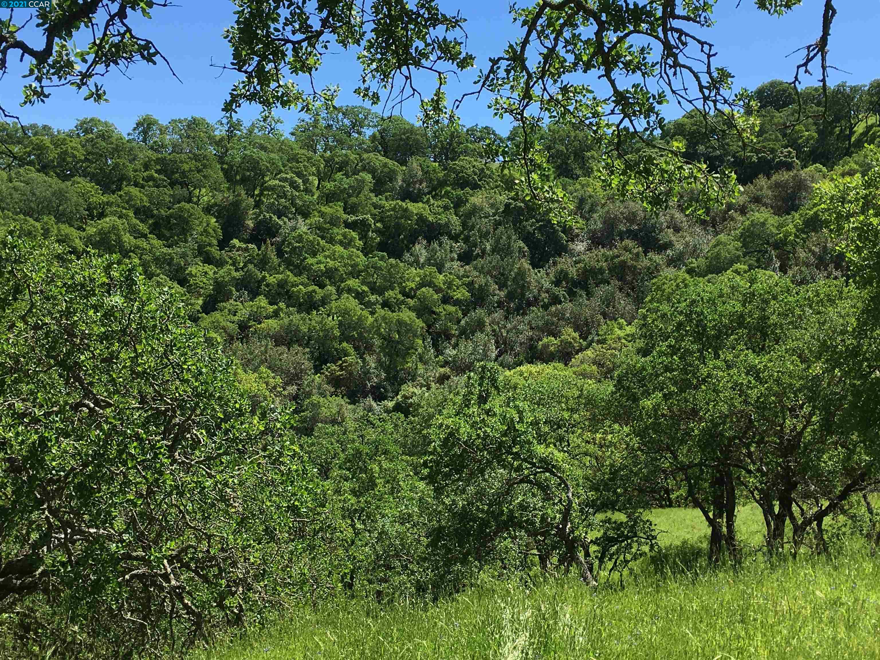 283 Castle Hill Ranch Rd, WALNUT CREEK, California 94595, ,Lots And Land,For Sale,Castle Hill Ranch Rd,40972363