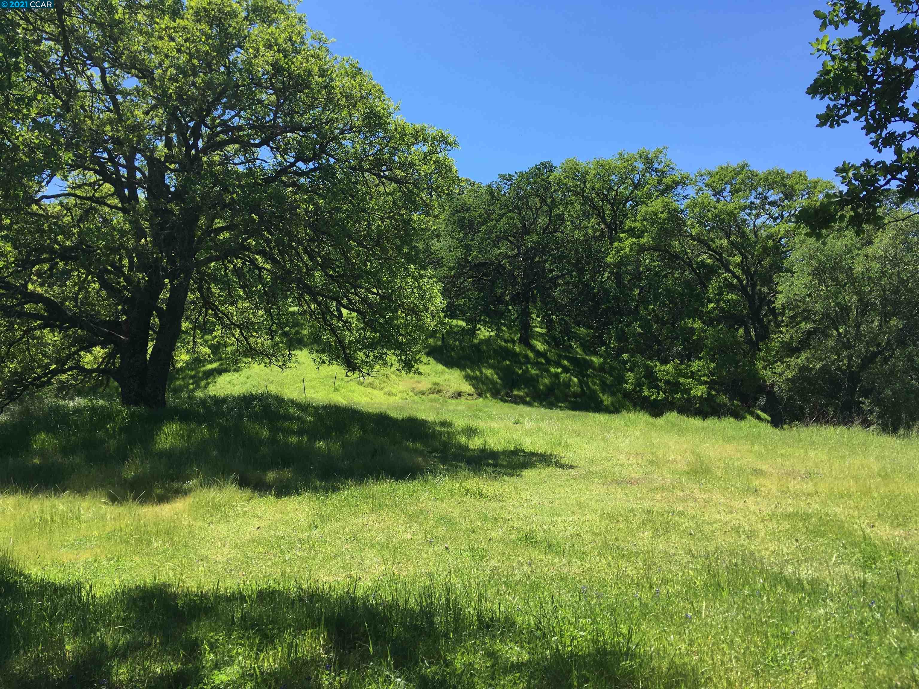 283 Castle Hill Ranch Rd, WALNUT CREEK, California 94595, ,Lots And Land,For Sale,Castle Hill Ranch Rd,40972363