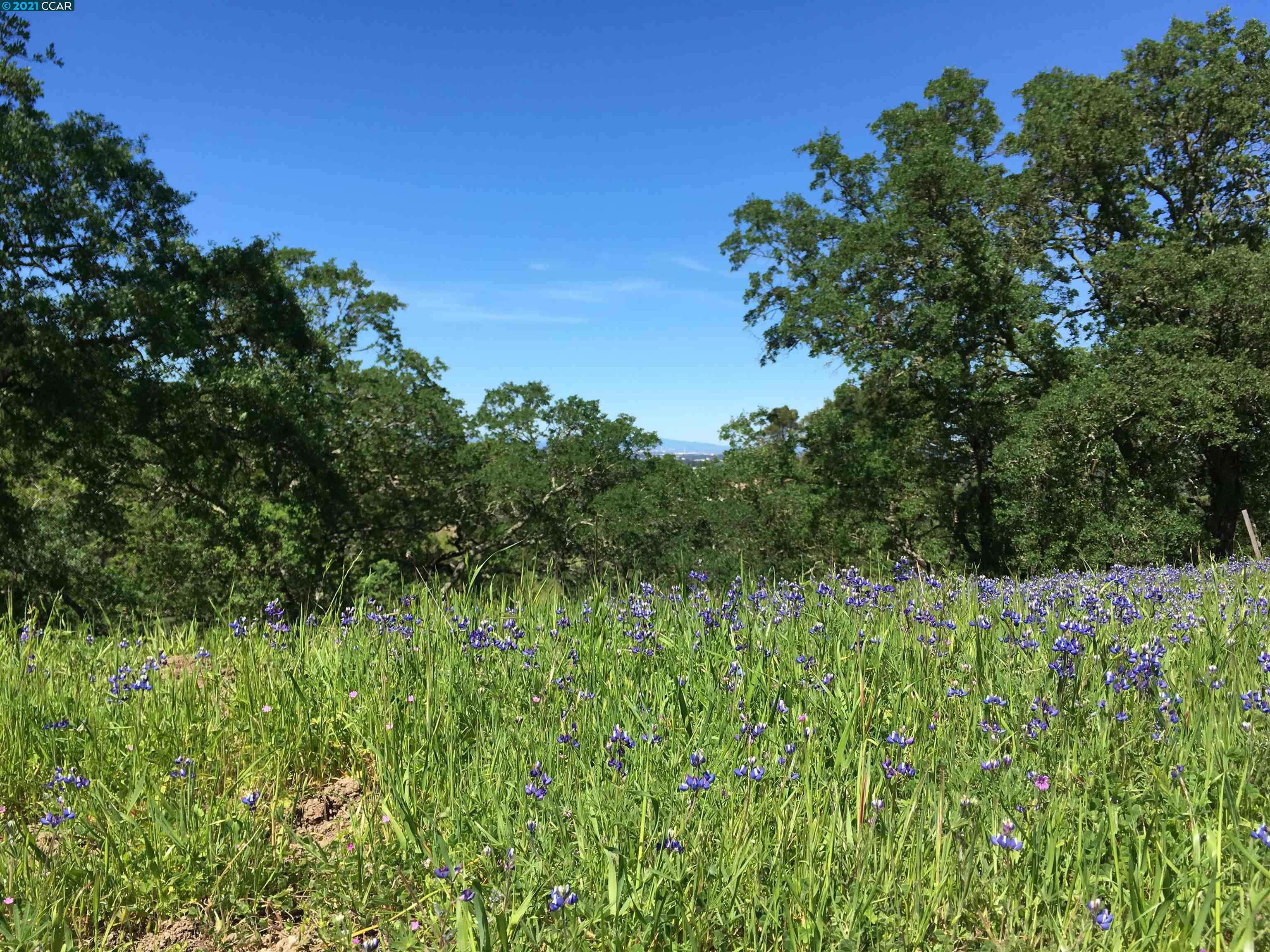 283 Castle Hill Ranch Rd, WALNUT CREEK, California 94595, ,Lots And Land,For Sale,Castle Hill Ranch Rd,40972363