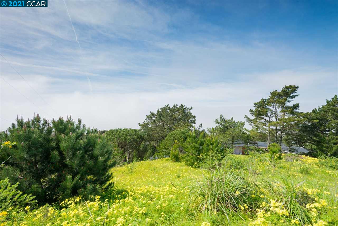 10 Gypsy Hill Rd, PACIFICA, California 94044, ,Lots And Land,For Sale,Gypsy Hill Rd,40972712