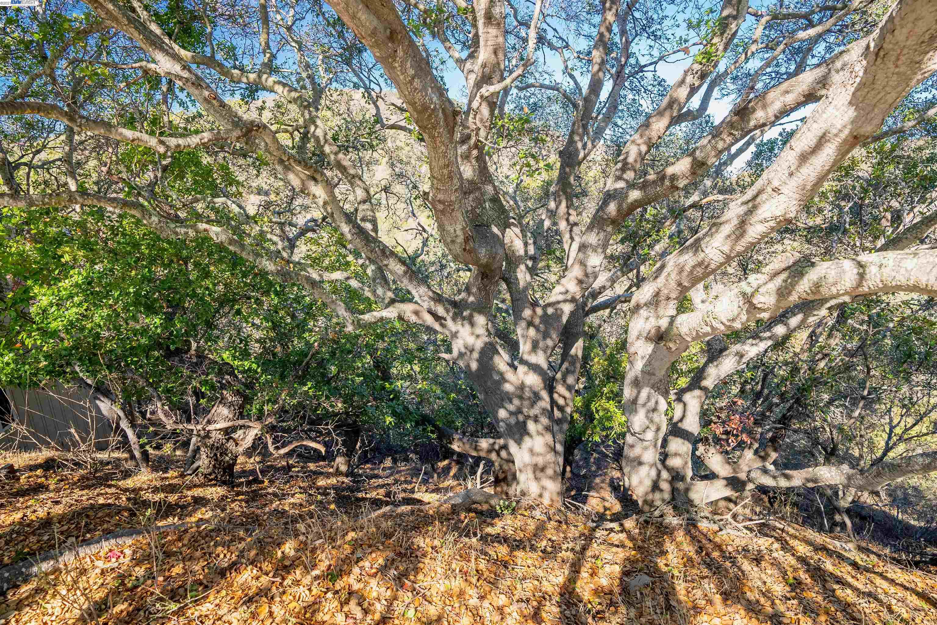 0 Alhambra Dr, BELMONT, California 94002, ,Lots And Land,For Sale,Alhambra Dr,40972891