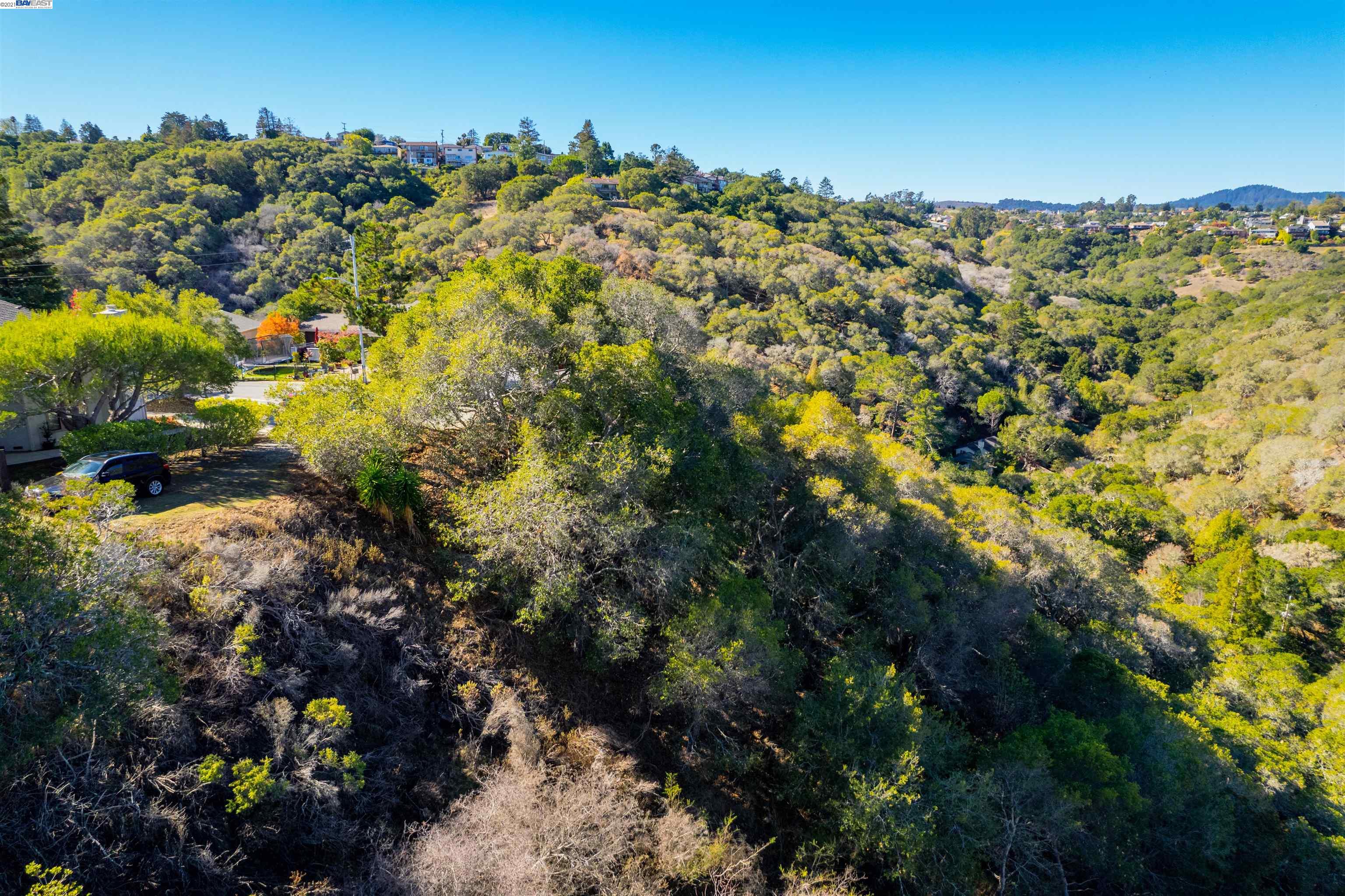 0 Alhambra Dr, BELMONT, California 94002, ,Lots And Land,For Sale,Alhambra Dr,40972892