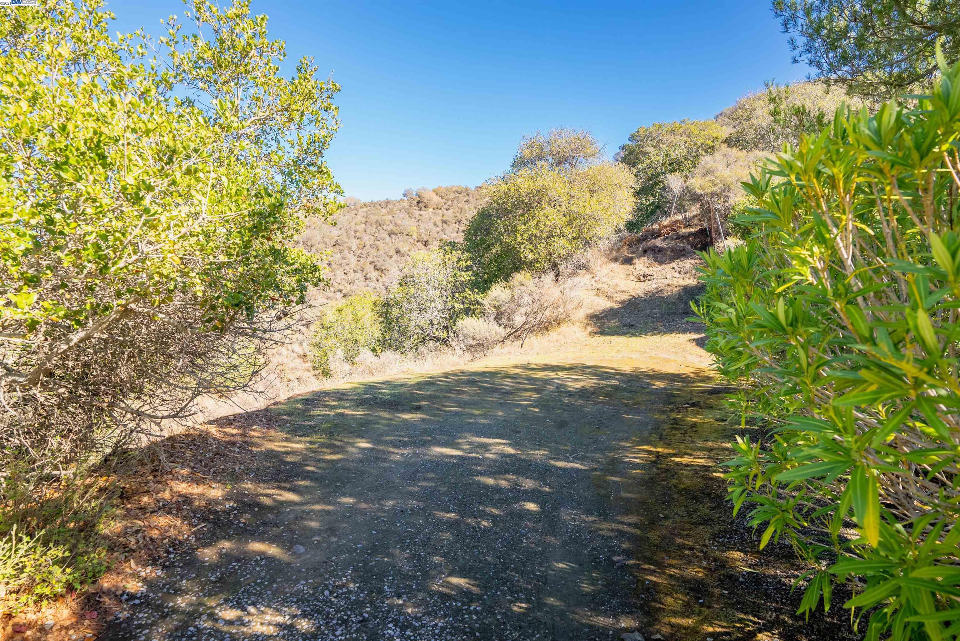 0 Alhambra Dr, BELMONT, California 94002, ,Lots And Land,For Sale,Alhambra Dr,40972892