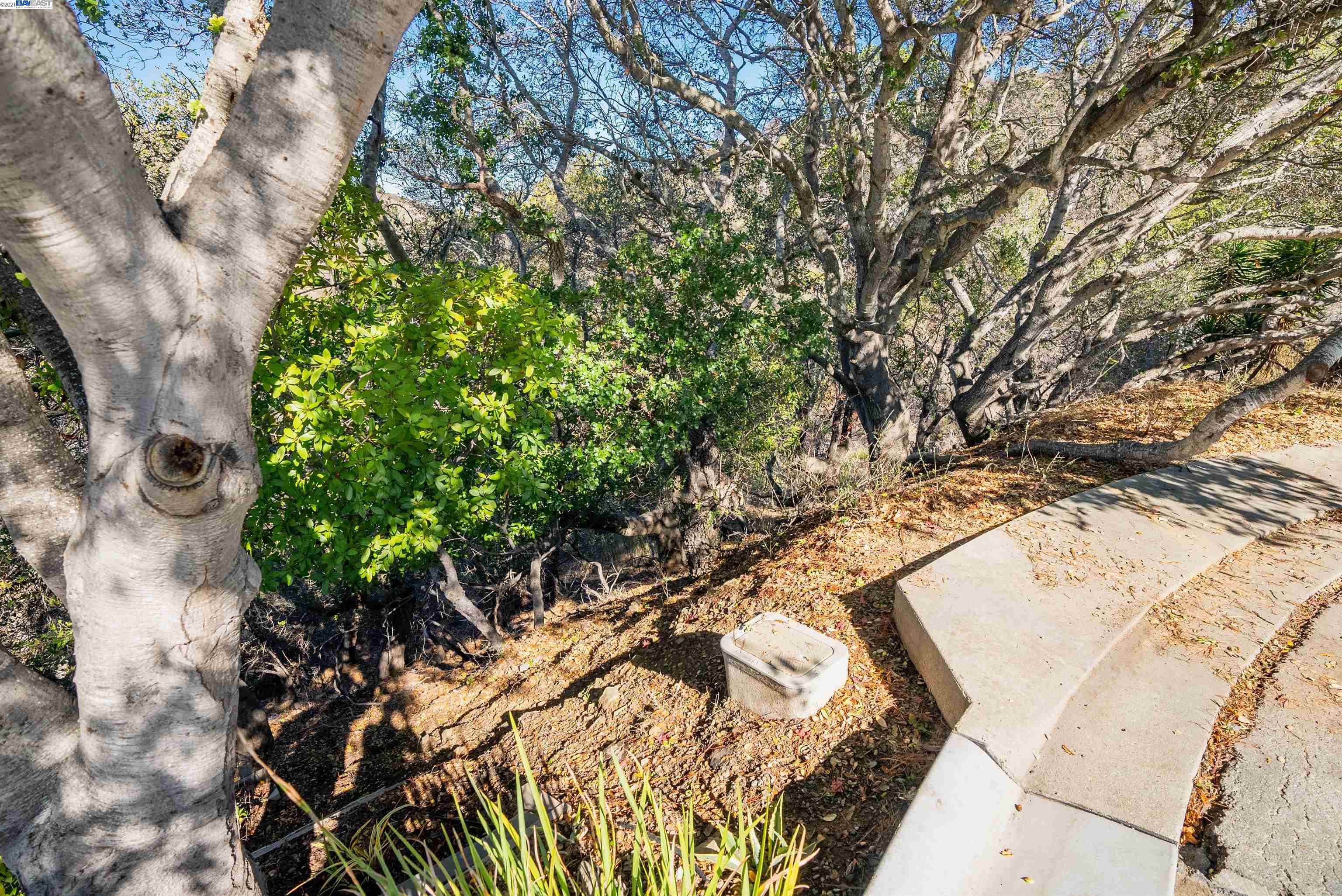0 Alhambra Dr, BELMONT, California 94002, ,Lots And Land,For Sale,Alhambra Dr,40972892