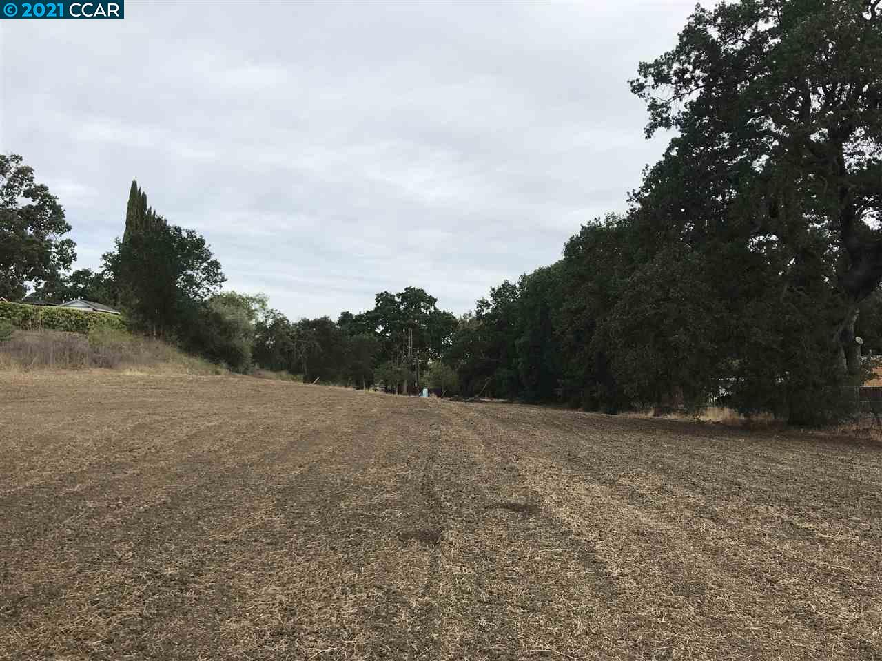 Carzino Ct, CONCORD, California 94521, ,Lots And Land,For Sale,Carzino Ct,40973279
