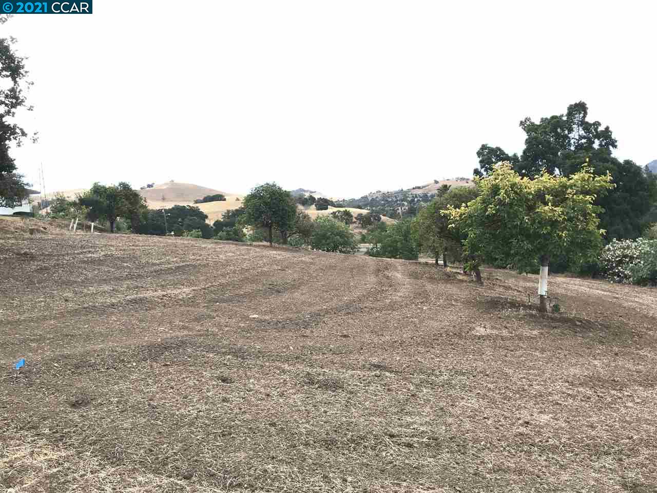 Carzino Ct, CONCORD, California 94521, ,Lots And Land,For Sale,Carzino Ct,40973279