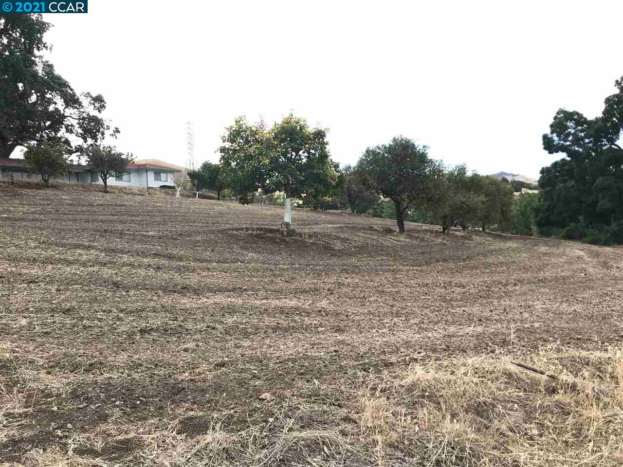 Carzino Ct, CONCORD, California 94521, ,Lots And Land,For Sale,Carzino Ct,40973279