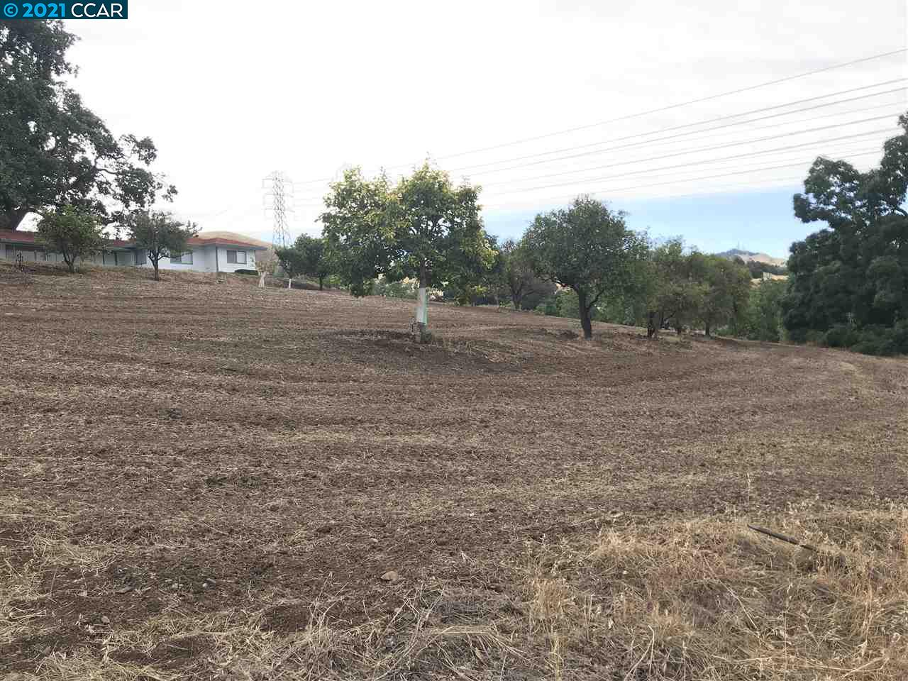 Carzino Ct, CONCORD, California 94521, ,Lots And Land,For Sale,Carzino Ct,40973279