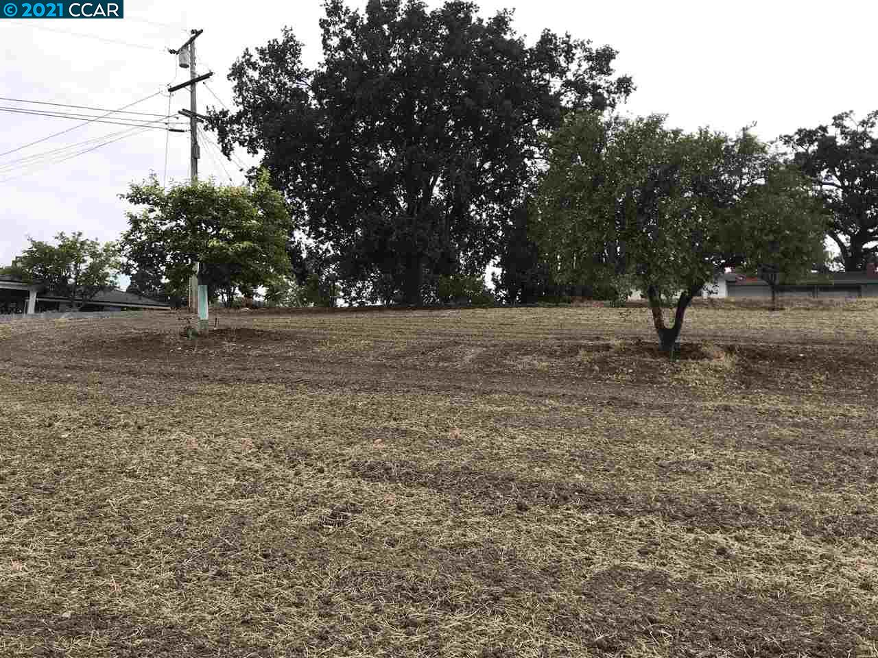 Carzino Ct, CONCORD, California 94521, ,Lots And Land,For Sale,Carzino Ct,40973279