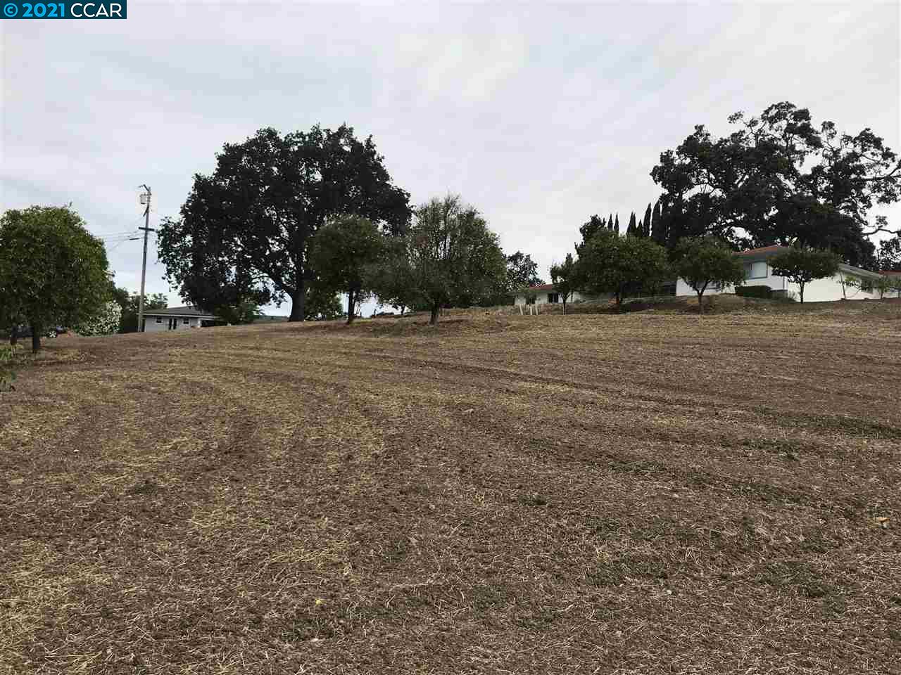 Carzino Ct, CONCORD, California 94521, ,Lots And Land,For Sale,Carzino Ct,40973279