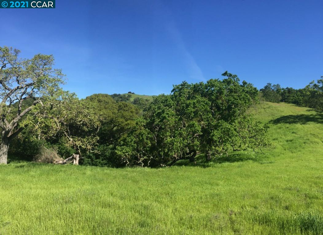 1240 Monticello Road, LAFAYETTE, California 94549, ,Lots And Land,For Sale,Monticello Road,40973289