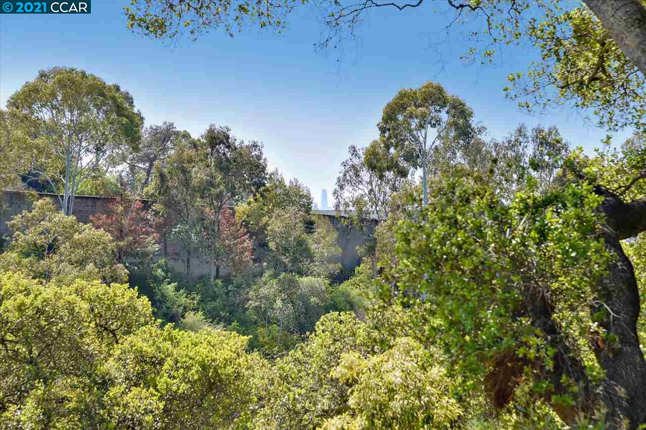 0 Roble Road, OAKLAND, California 94618, ,Lots And Land,For Sale,Roble Road,40973292