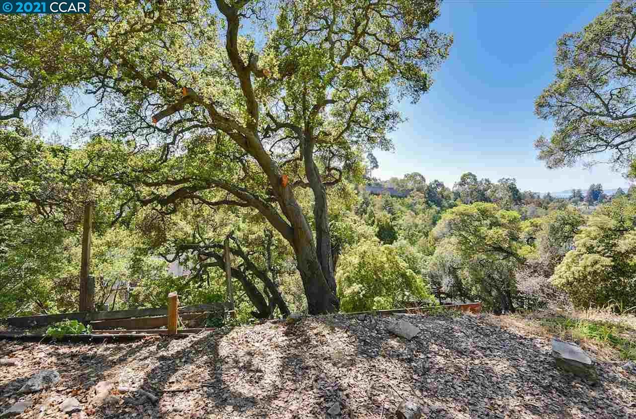 0 Roble Road, OAKLAND, California 94618, ,Lots And Land,For Sale,Roble Road,40973292