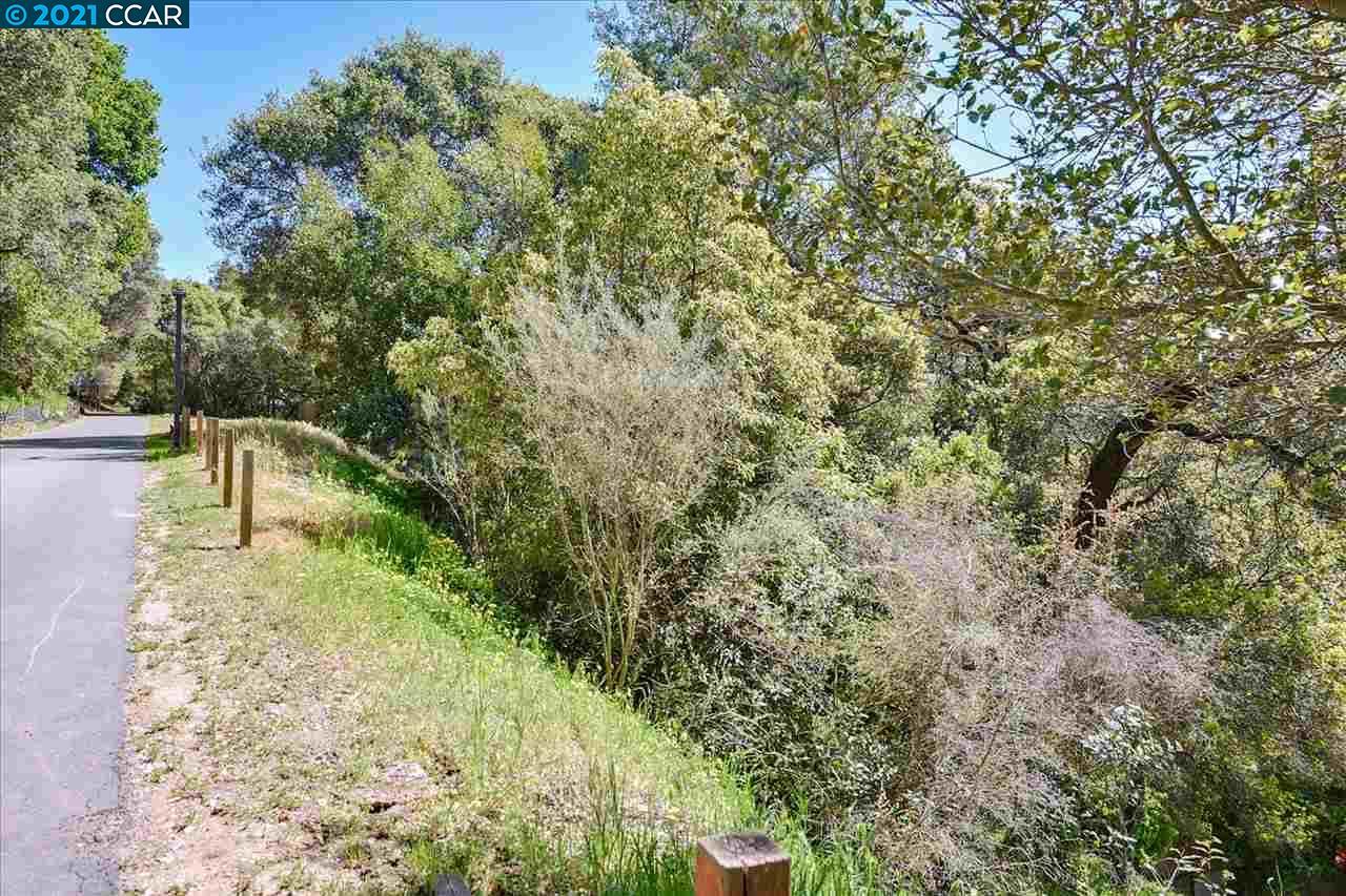 0 Roble Road, OAKLAND, California 94618, ,Lots And Land,For Sale,Roble Road,40973292