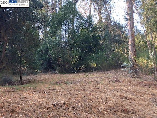 1 Lauriston Ct, OAKLAND, California 94611, ,Lots And Land,For Sale,Lauriston Ct,40973521