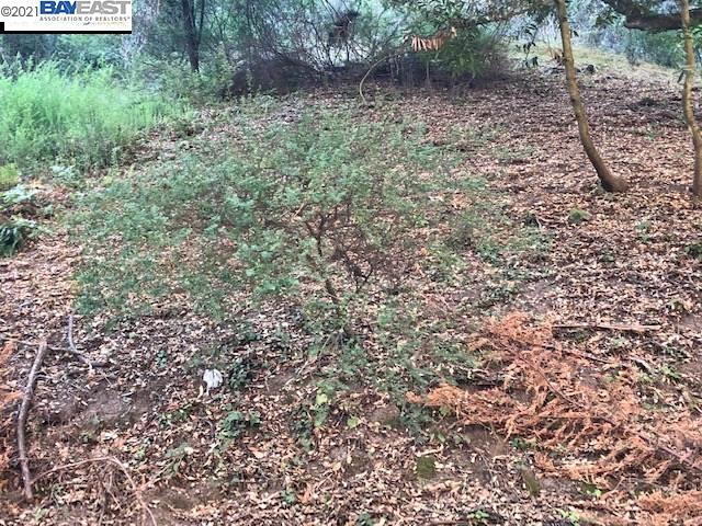 2 Lauriston Ct, OAKLAND, California 94611, ,Lots And Land,For Sale,Lauriston Ct,40973522