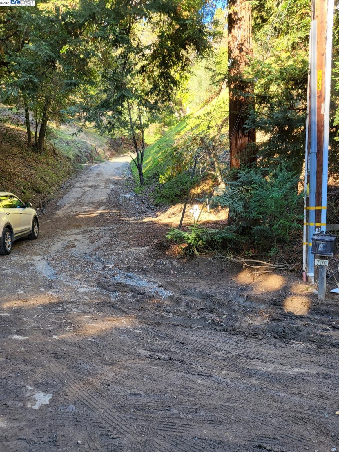 2 Lauriston Ct, OAKLAND, California 94611, ,Lots And Land,For Sale,Lauriston Ct,40973522