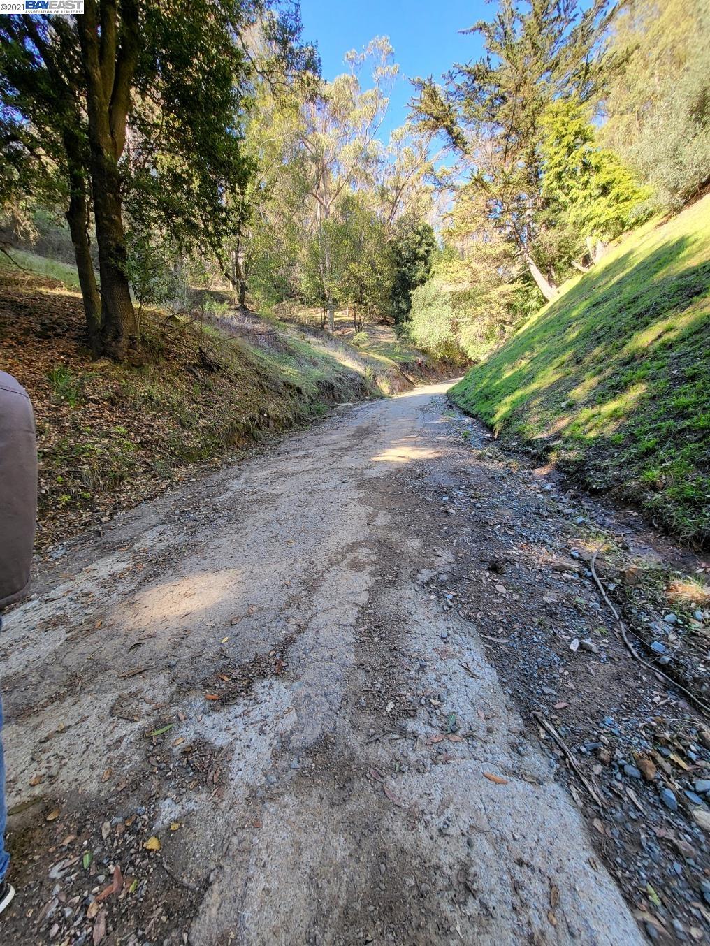 2 Lauriston Ct, OAKLAND, California 94611, ,Lots And Land,For Sale,Lauriston Ct,40973522