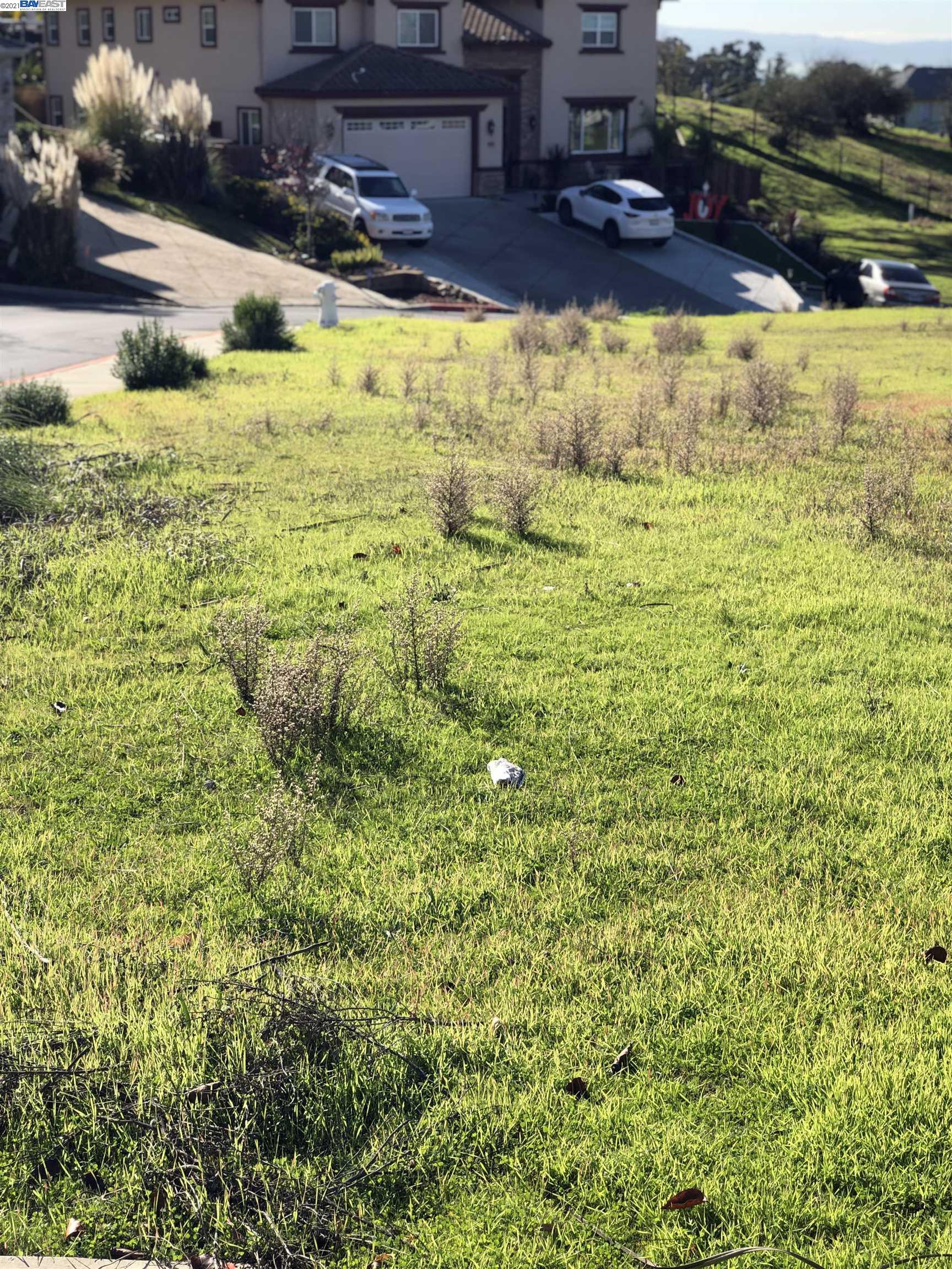 24552 karina ct, HAYWARD, California 94542, ,Lots And Land,For Sale,karina ct,40973691