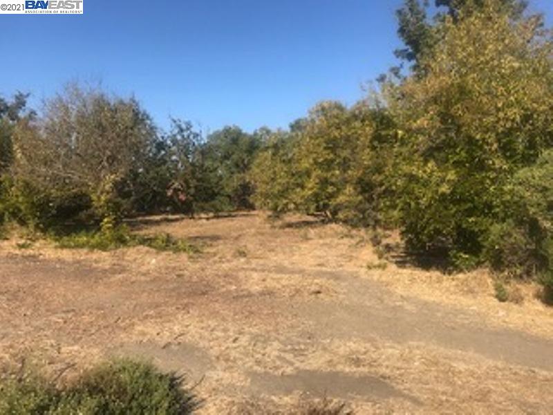 7843 Railroad, NEWARK, California 94560, ,Lots And Land,For Sale,Railroad,40973692