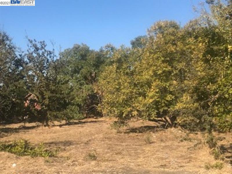 7843 Railroad, NEWARK, California 94560, ,Lots And Land,For Sale,Railroad,40973692