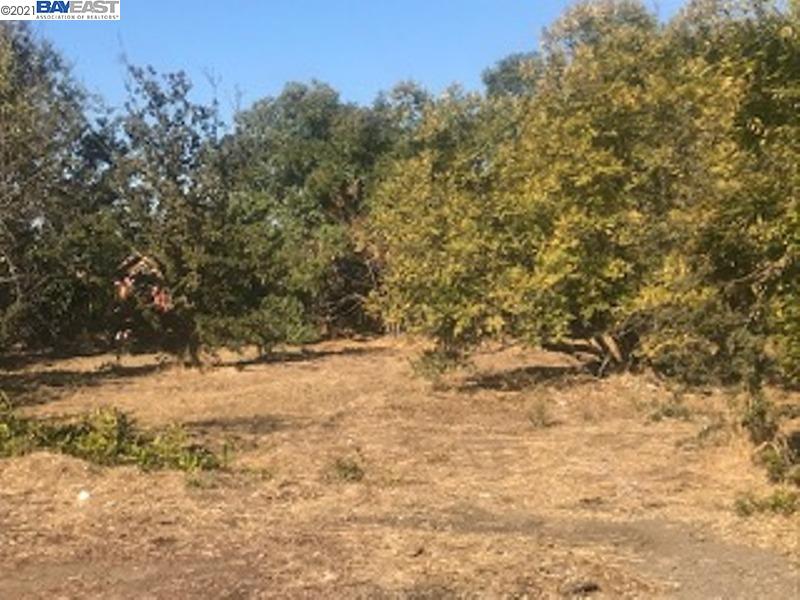 7843 Railroad, NEWARK, California 94560, ,Lots And Land,For Sale,Railroad,40973692