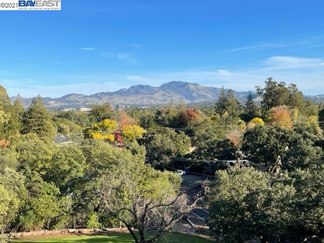 0 Withers Ave, LAFAYETTE, California 94549, ,Lots And Land,For Sale,Withers Ave,40973816