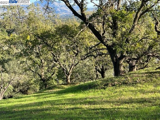 0 Withers Ave, LAFAYETTE, California 94549, ,Lots And Land,For Sale,Withers Ave,40973816