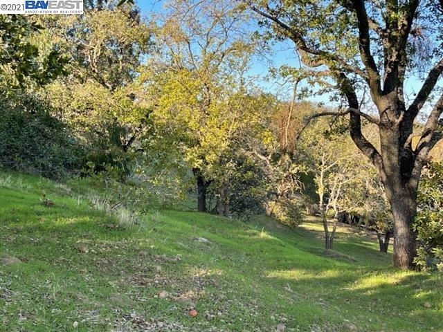 0 Withers Ave, LAFAYETTE, California 94549, ,Lots And Land,For Sale,Withers Ave,40973816