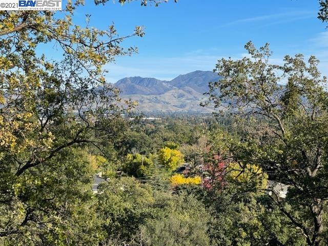 0 Withers Ave, LAFAYETTE, California 94549, ,Lots And Land,For Sale,Withers Ave,40973816