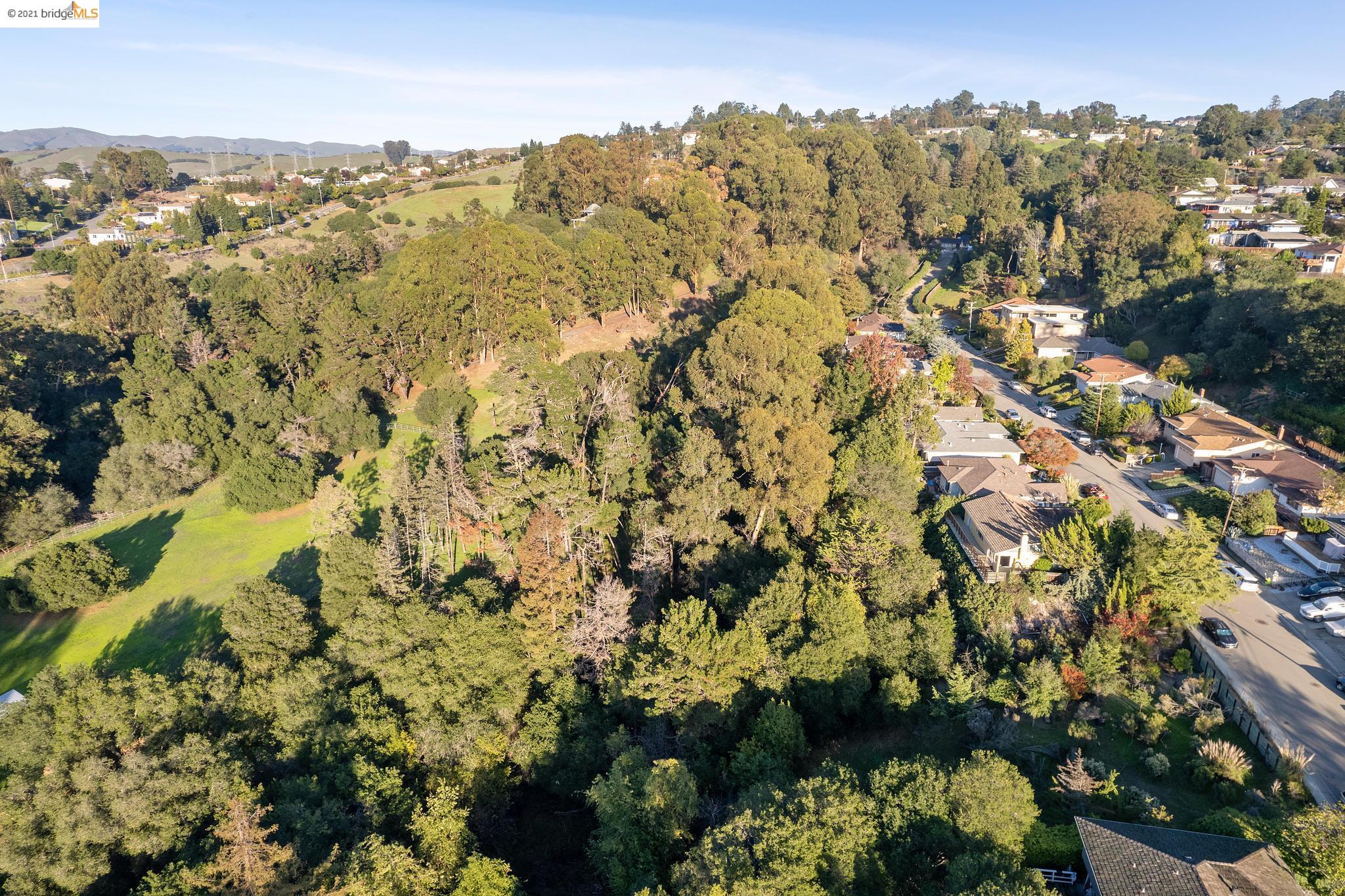 3370 Saddle Dr, HAYWARD, California 94541, ,Lots And Land,For Sale,Saddle Dr,40973817