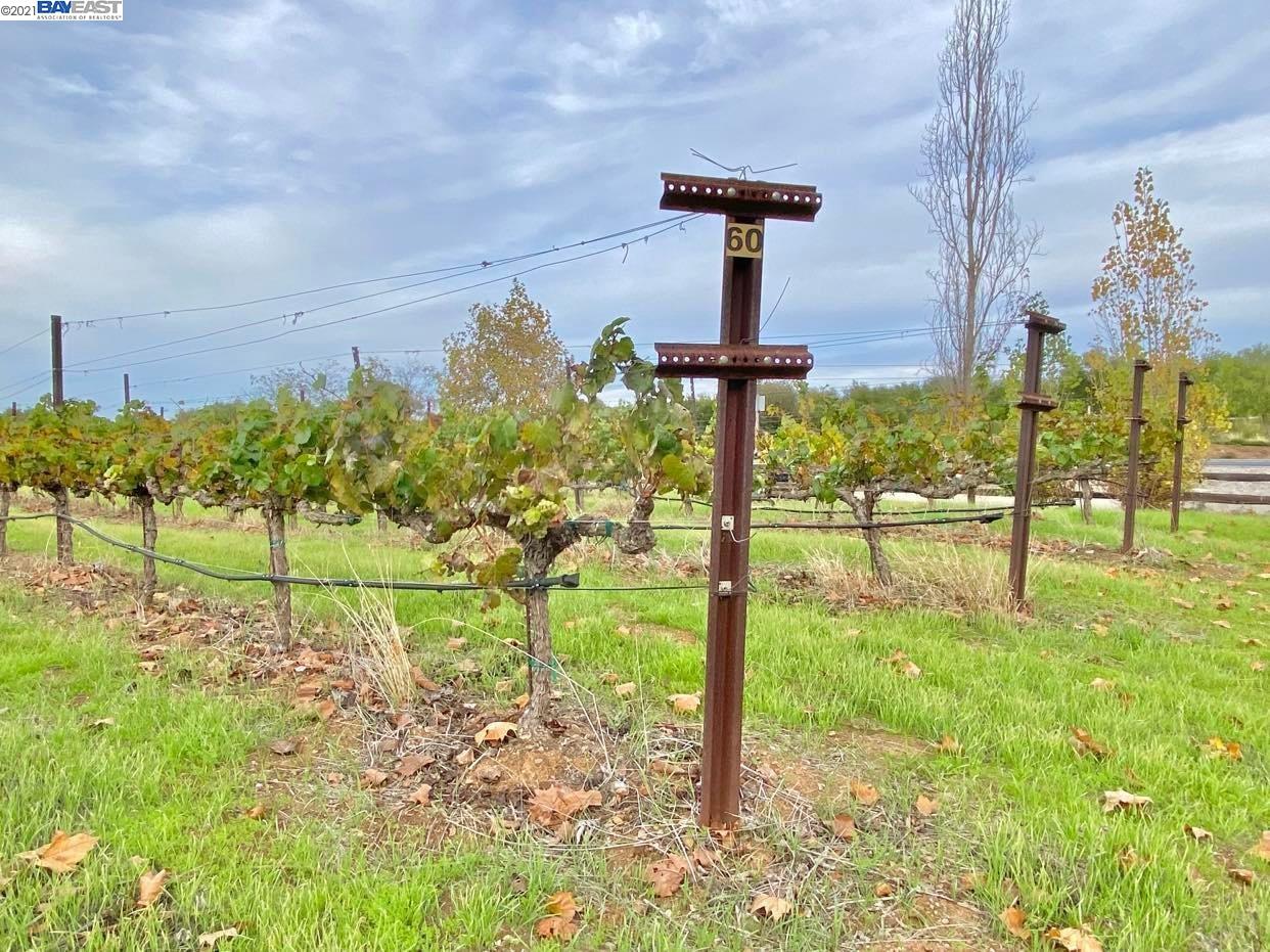 0 Hansen Rd, LIVERMORE, California 94550, ,Comm Lots And Land,For Sale,Hansen Rd,40975497