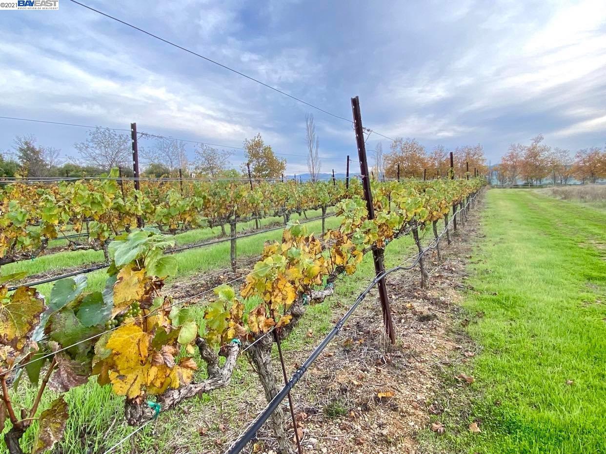 0 Hansen Rd, LIVERMORE, California 94550, ,Comm Lots And Land,For Sale,Hansen Rd,40975497