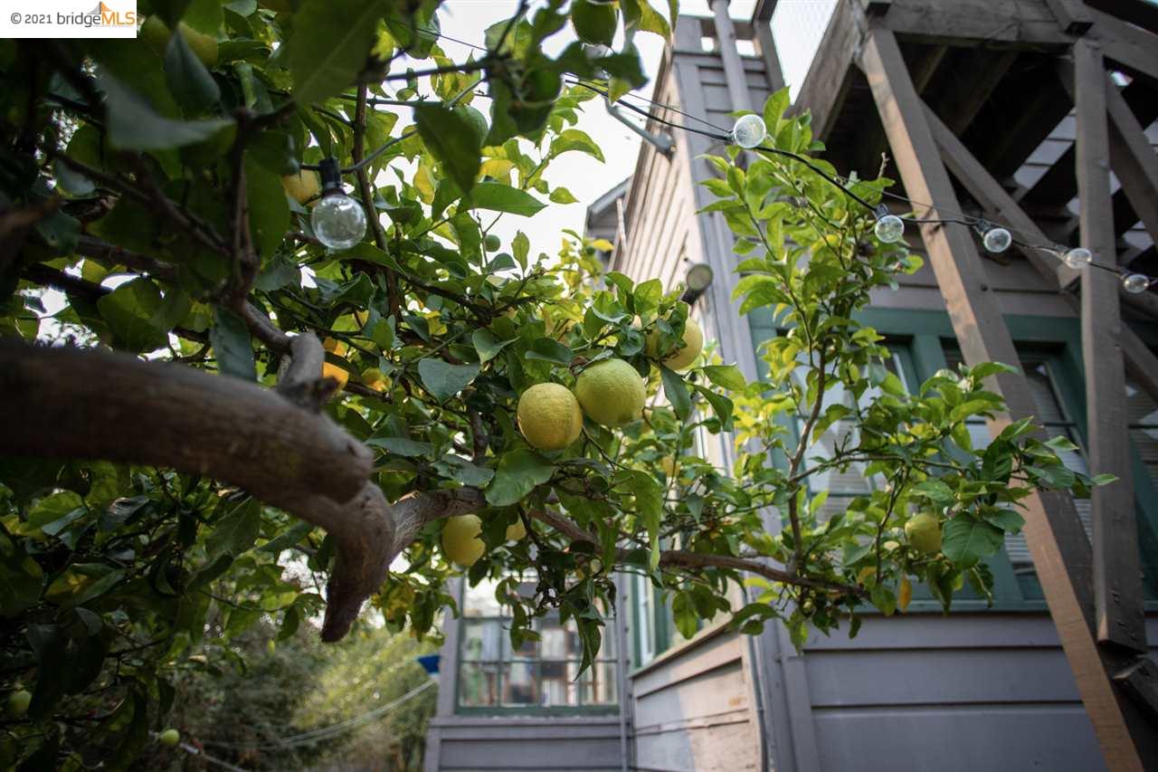 318 Portland Ave, OAKLAND, California 94606, ,Comm Ri Multi-units 5+,For Sale,Portland Ave,40974802