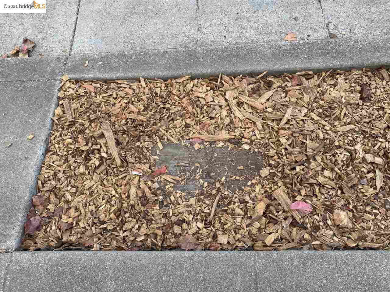 318 Portland Ave, OAKLAND, California 94606, ,Comm Ri Multi-units 5+,For Sale,Portland Ave,40974802