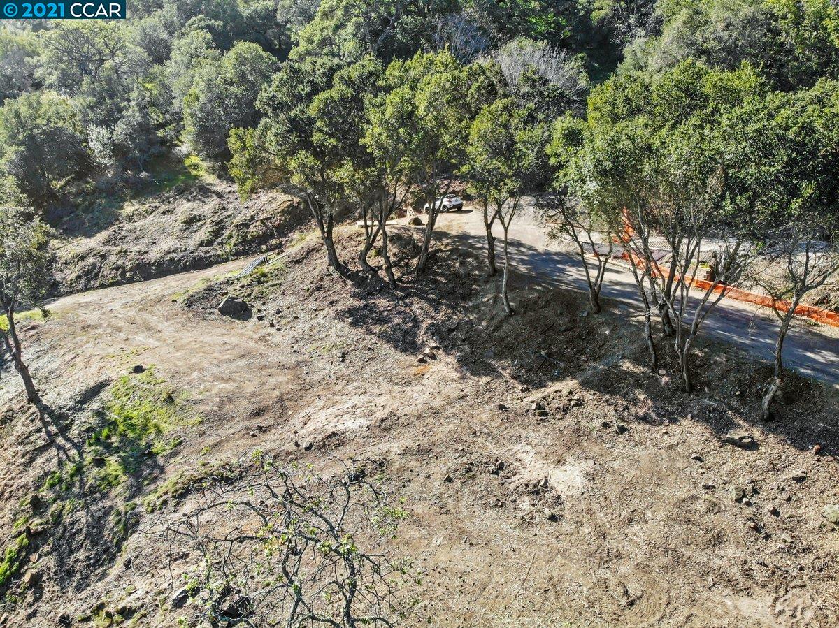 103 Castlewood Drive, PLEASANTON, California 94566, ,Lots And Land,For Sale,Castlewood Drive,40974807