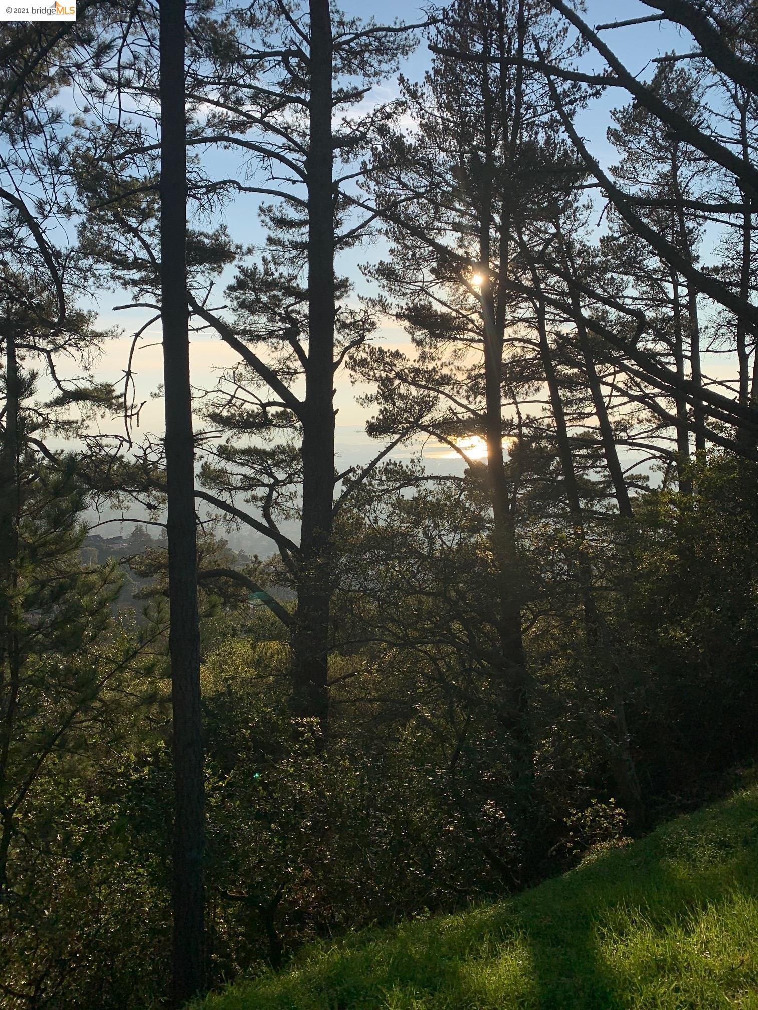 0 Panoramic Pl, OAKLAND, California 94704, ,Lots And Land,For Sale,Panoramic Pl,40974820