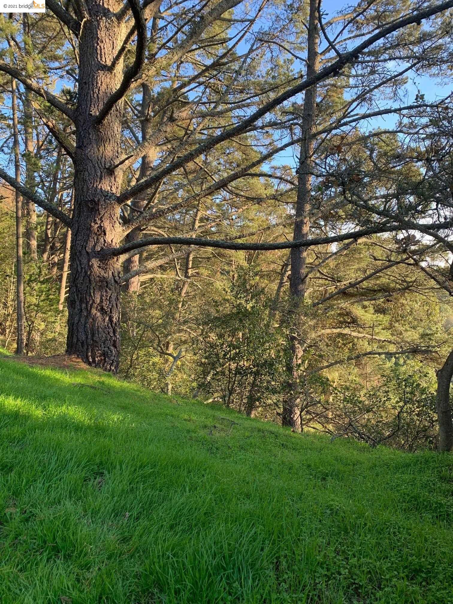 0 Panoramic Pl, OAKLAND, California 94704, ,Lots And Land,For Sale,Panoramic Pl,40974820