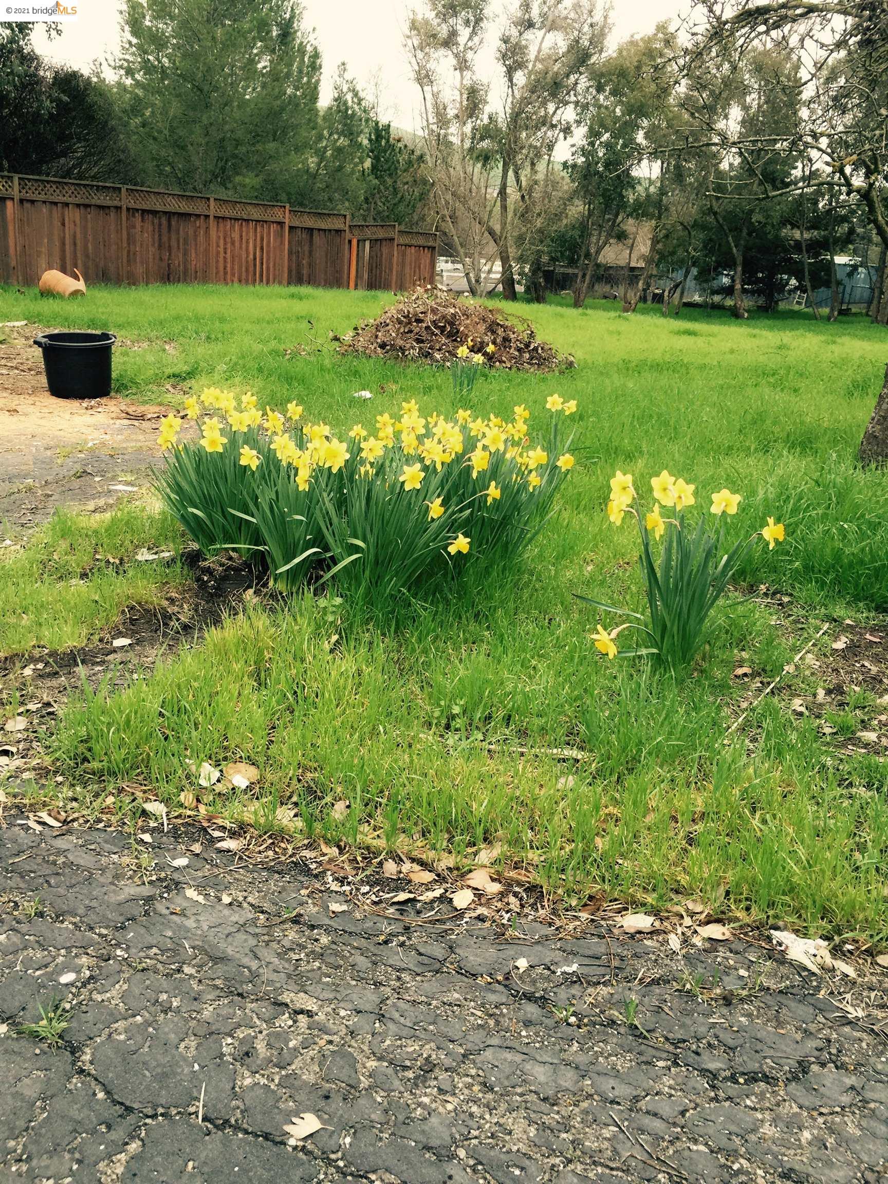 1610 Lawrence, DANVILLE, California 94506, ,Lots And Land,For Sale,Lawrence,40975665