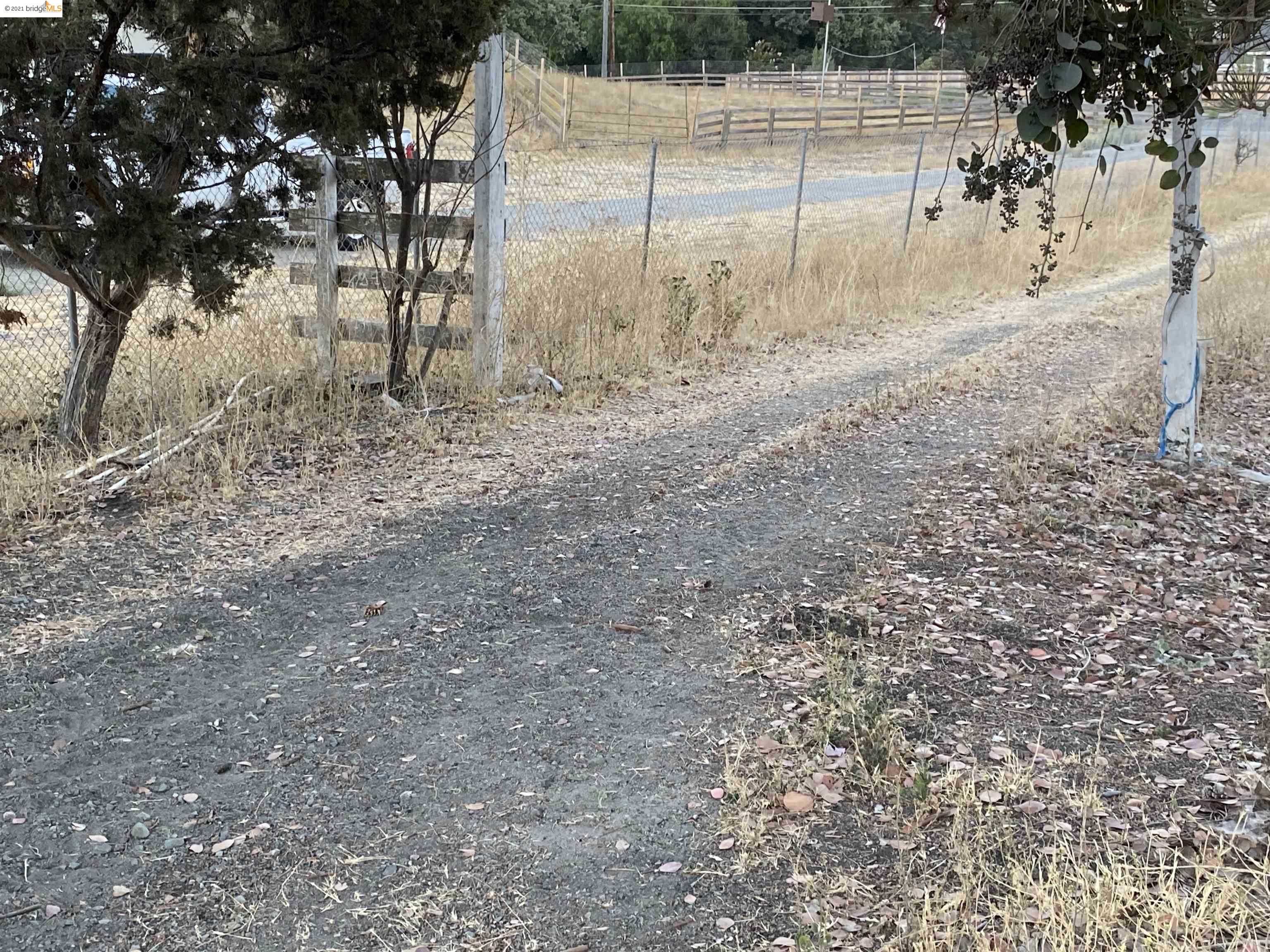 1610 Lawrence, DANVILLE, California 94506, ,Lots And Land,For Sale,Lawrence,40975665