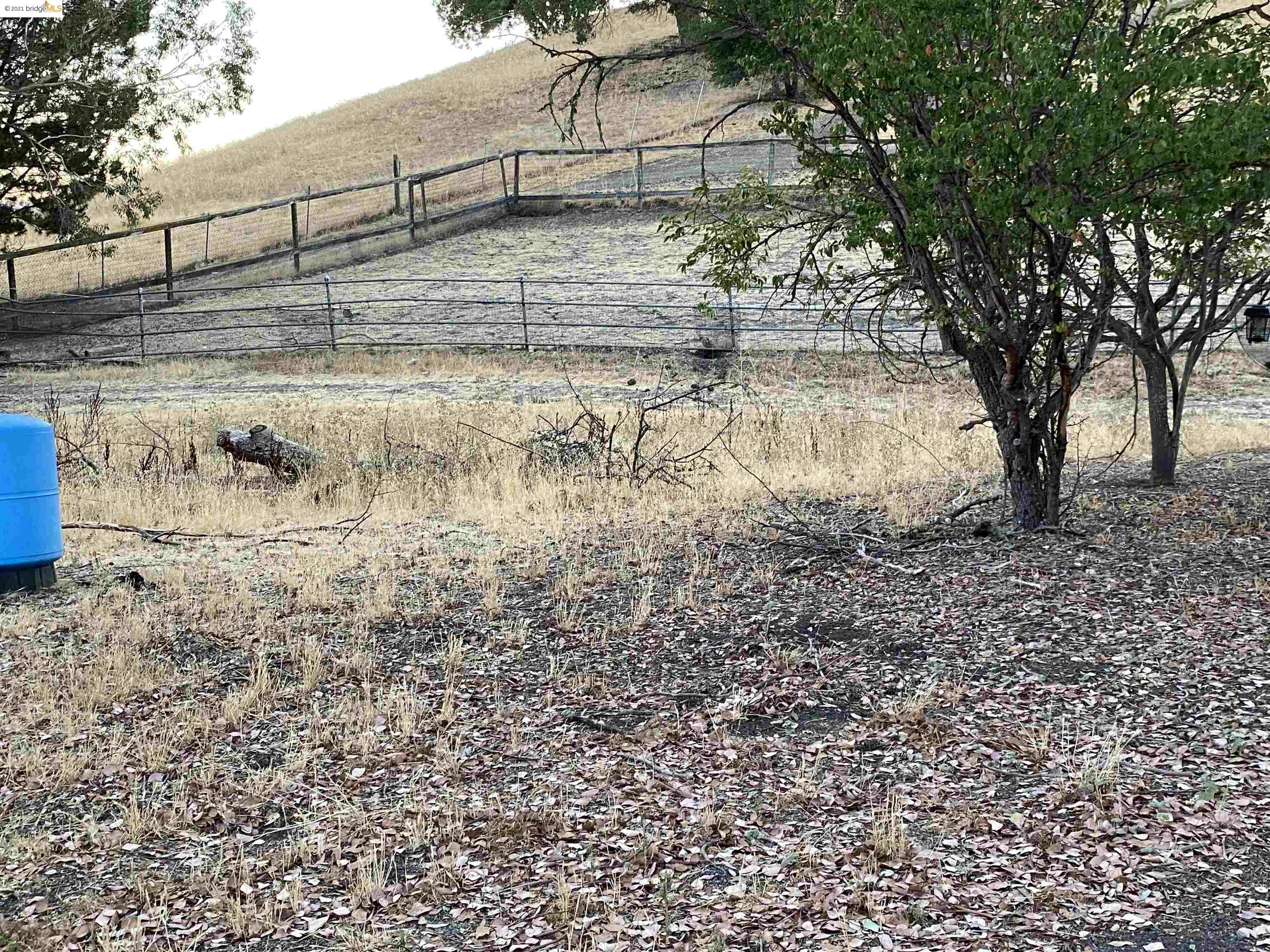 1610 Lawrence, DANVILLE, California 94506, ,Lots And Land,For Sale,Lawrence,40975665