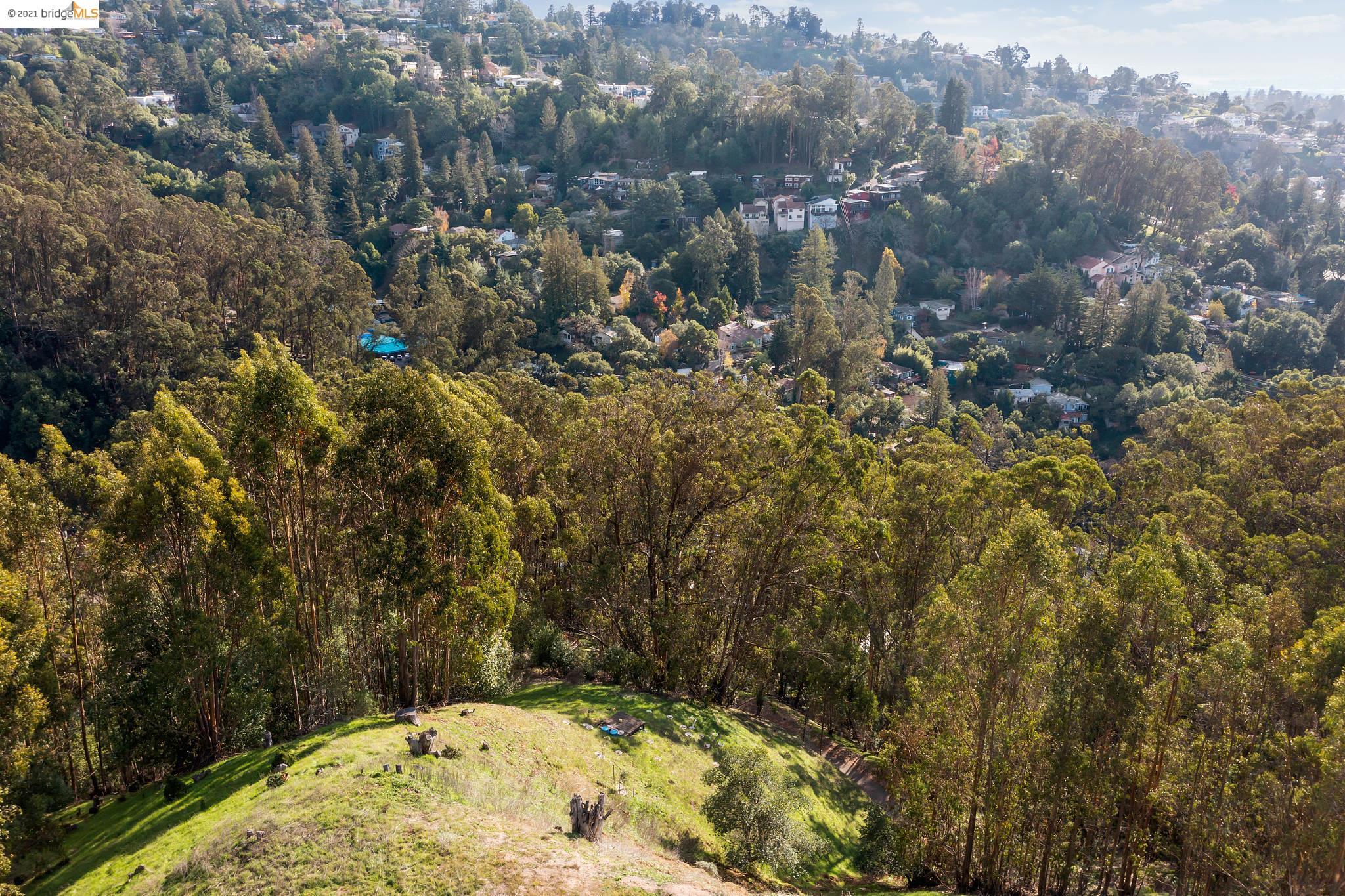 0 Thorndale Dr, OAKLAND, California 94603, ,Lots And Land,For Sale,Thorndale Dr,40975804