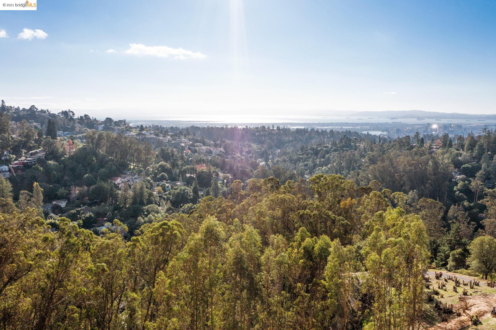 0 Thorndale Dr, OAKLAND, California 94603, ,Lots And Land,For Sale,Thorndale Dr,40975804