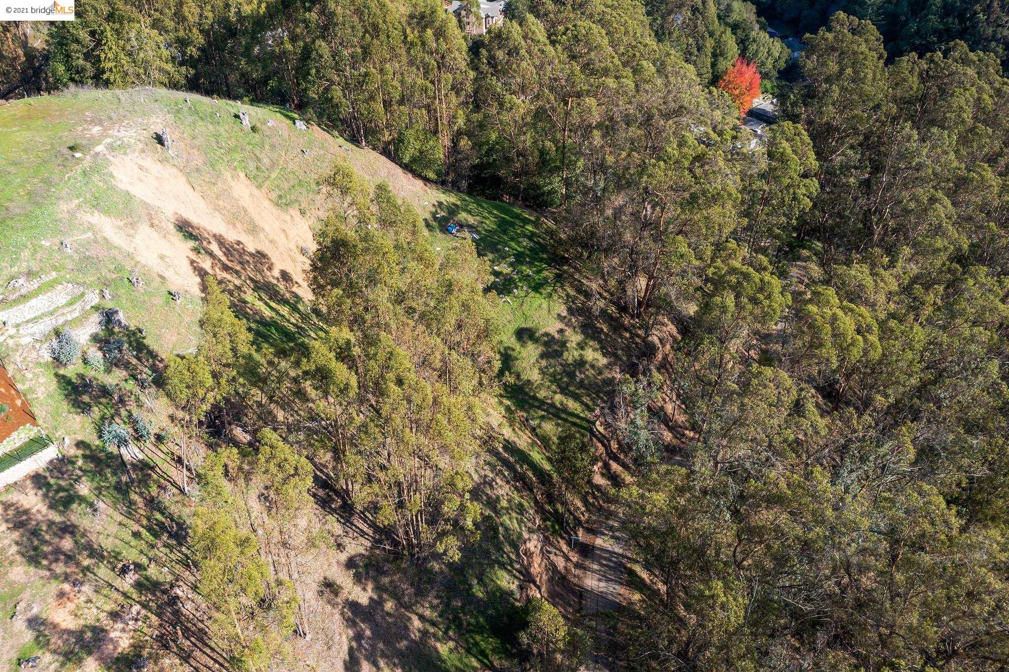 0 Thorndale Dr, OAKLAND, California 94603, ,Lots And Land,For Sale,Thorndale Dr,40975804