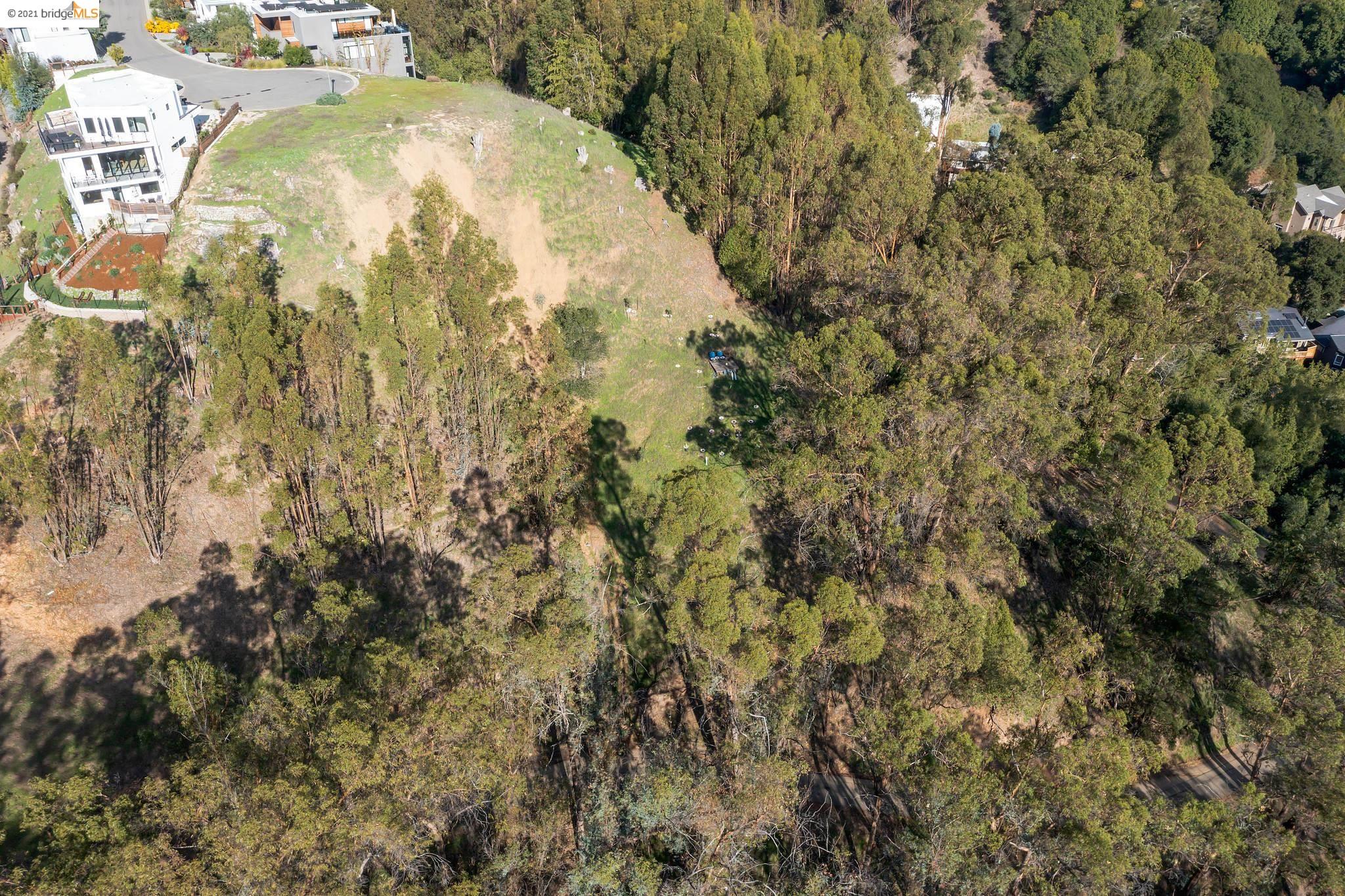 0 Thorndale Dr, OAKLAND, California 94603, ,Lots And Land,For Sale,Thorndale Dr,40975804