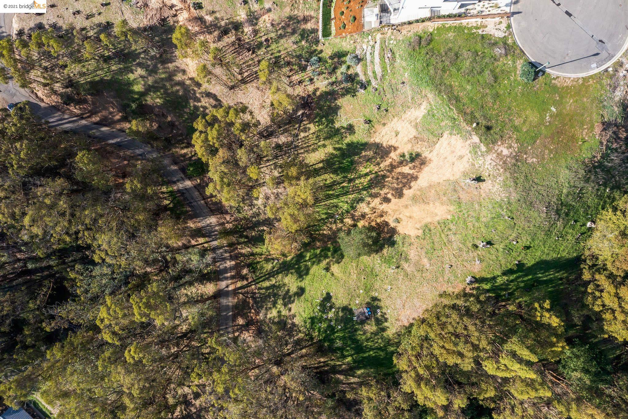 0 Thorndale Dr, OAKLAND, California 94603, ,Lots And Land,For Sale,Thorndale Dr,40975804