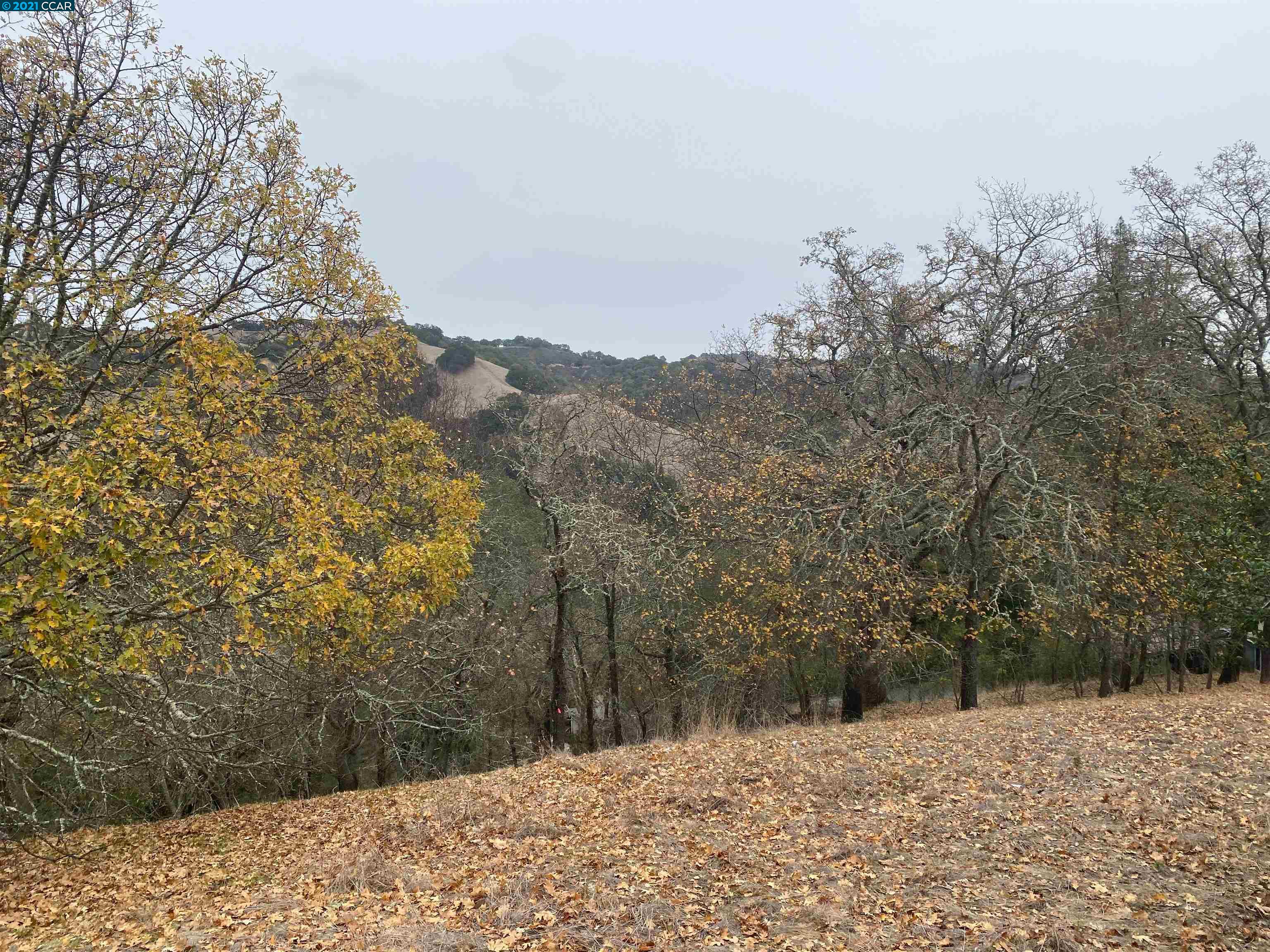 0 Canyon Rd, LAFAYETTE, California 94549, ,Lots And Land,For Sale,Canyon Rd,40975805