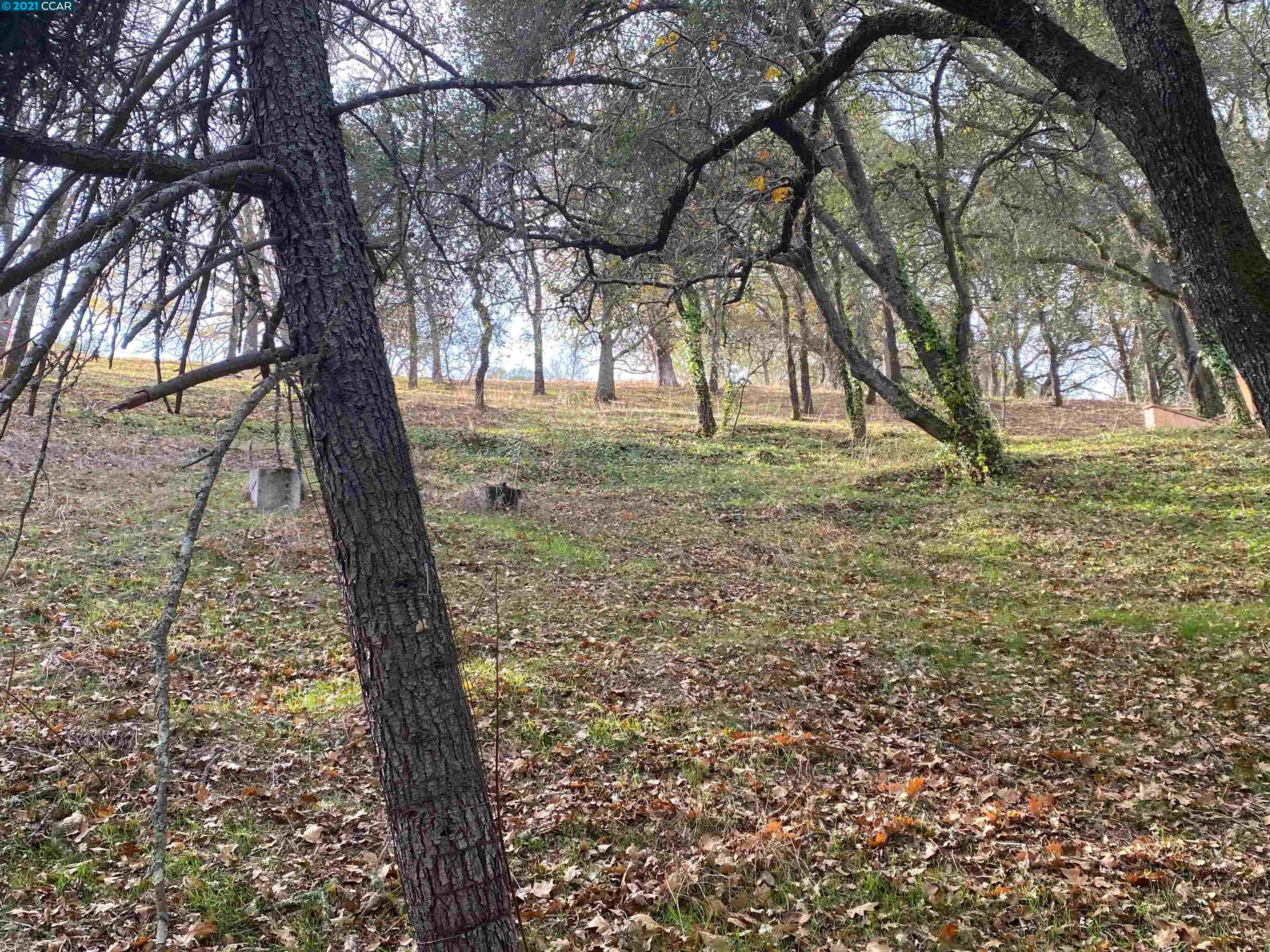 0 Canyon Rd, LAFAYETTE, California 94549, ,Lots And Land,For Sale,Canyon Rd,40975805