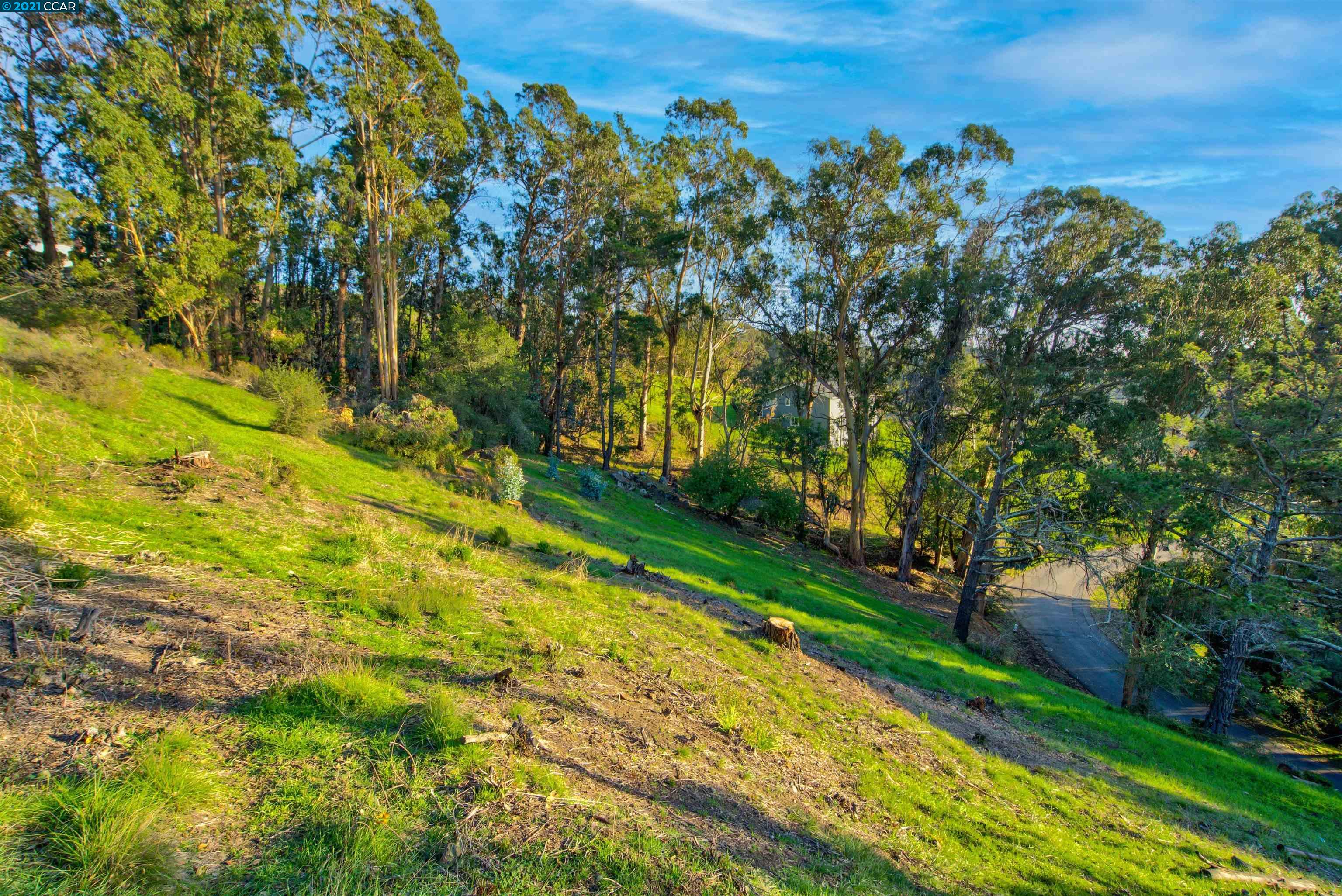 11388 Lochard St, OAKLAND, California 94605, ,Lots And Land,For Sale,Lochard St,40976028